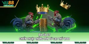 Đá gà 6/7