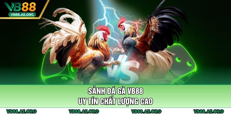 Sảnh đá gà VB88 uy tín chất lượng cao